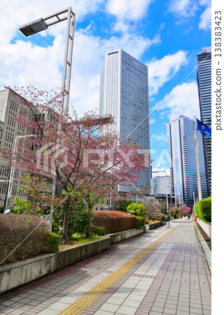 春天，建築物和櫻花的新宿子中心 138383423