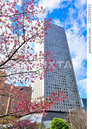 春天，建築物和櫻花的新宿子中心 138383432