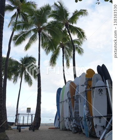 A scene of surfing on Waikiki Beach A scene of surfing on Waikiki Beach 138383530
