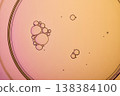 Oil bubbles creating an abstract pattern on liquid surface with pink and orange colors 138384100