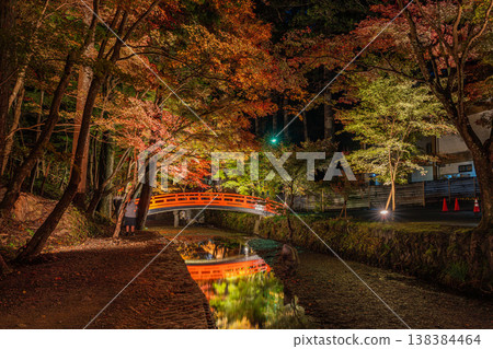靜岡縣遠富國一宮市小國神社的秋葉 靜岡縣遠富國一宮市小國神社的秋葉 138384464