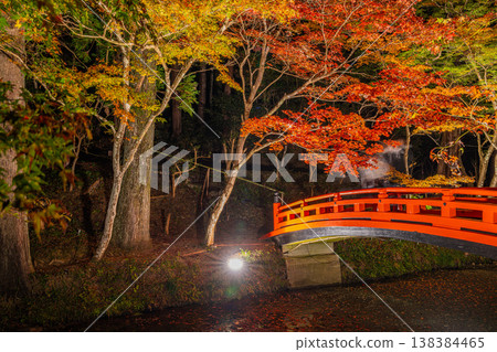 靜岡縣遠富國一宮市小國神社的秋葉 138384465