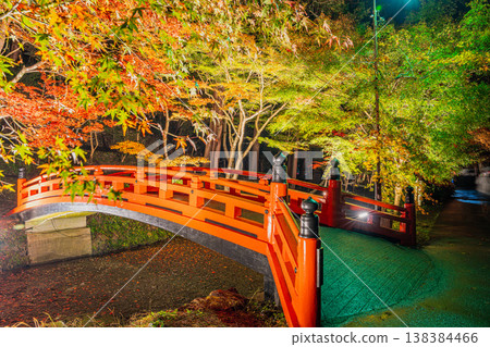 靜岡縣遠富國一宮市小國神社的秋葉 靜岡縣遠富國一宮市小國神社的秋葉 138384466