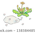An illustration of dandelions, cherry blossom petals, and a puddle. 138384485