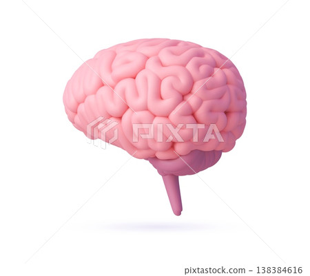 3d human brain rendered on clean white background. Medical vector brain for educational materials, health and science presentation, psychology blog, tech and innovation branding 138384616