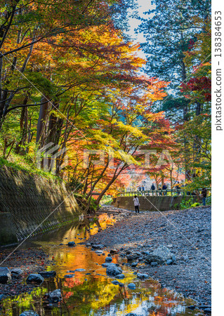 Autumn foliage at Oguni Shrine, Ichinomiya, Totomi Province, Morimachi (Shizuoka Prefecture) 138384653