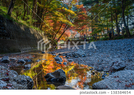 Autumn foliage at Oguni Shrine, Ichinomiya, Totomi Province, Morimachi (Shizuoka Prefecture) 138384654
