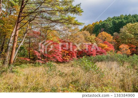 豐田市(愛知縣)高戶屋濕地 豐田市(愛知縣)高戶屋濕地 138384900