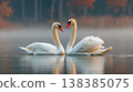 Graceful swan pair forming heart shape on tranquil lake 138385075