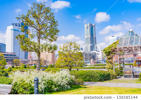 (Kanagawa Prefecture) Yokohama Minato Mirai, Springtime Red Brick Park (Kanagawa Prefecture) Yokohama Minato Mirai, Springtime Red Brick Park 138385144