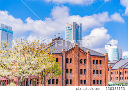 (Kanagawa Prefecture) Yokohama Minato Mirai, Springtime Red Brick Park (Kanagawa Prefecture) Yokohama Minato Mirai, Springtime Red Brick Park 138385153