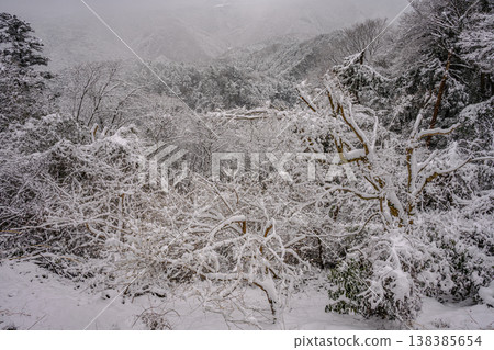 Snow (Mt. Takao, Kasumidai Observatory) Snow (Mt. Takao, Kasumidai Observatory) 138385654