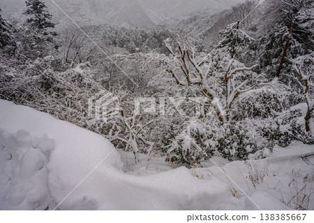 Snow (Mt. Takao, Kasumidai Observatory) 138385667