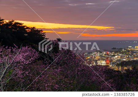 沖繩縣名護市名護城公園的櫻花園中早開的琉球冬櫻花與名護灣的夕陽與城市夜景 沖繩縣名護市名護城公園的櫻花園中早開的琉球冬櫻花與名護灣的夕陽與城市夜景 138385726