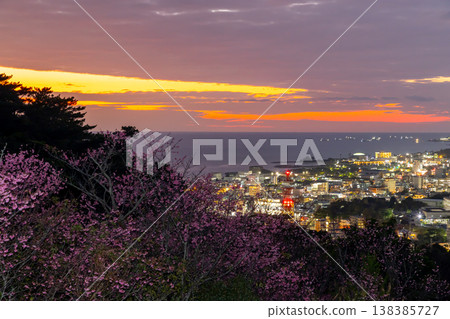 沖繩縣名護市名護城公園的櫻花園中早開的琉球冬櫻花與名護灣的夕陽與城市夜景 138385727