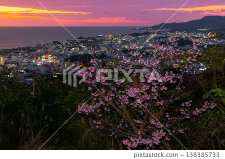 Early-blooming Ryukyu winter cherry blossoms at Sakura Garden in Nago Castle Park, Nago City, Okinawa Prefecture, and the sunset over Nago Bay over the city night view Early-blooming Ryukyu winter cherry blossoms at Sakura Garden in Nago Castle Park, Nago City, Okinawa Prefecture, and the sunset over Nago Bay over the city night view 138385733