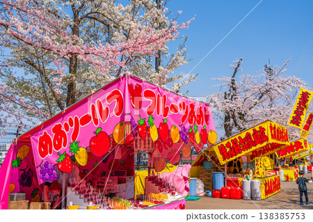 八王子市櫻花節，藤森公園 138385753
