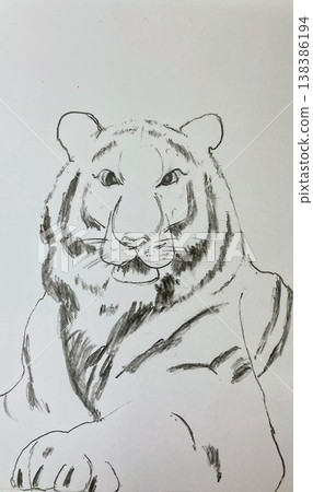 逼真老虎鋼筆畫完整版 逼真老虎鋼筆畫完整版 138386194