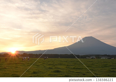 The warm morning sun shines into the pasture overlooking Mount Fuji. The warm morning sun shines into the pasture overlooking Mount Fuji. 138386221