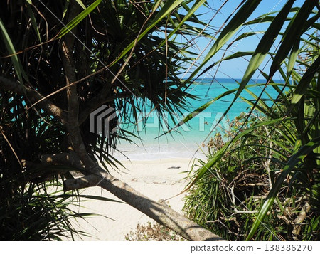 Emerald green sea and white sand beach Emerald green sea and white sand beach 138386270