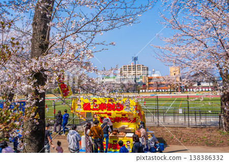 八王子市櫻花節,藤森公園 八王子市櫻花節,藤森公園 138386332