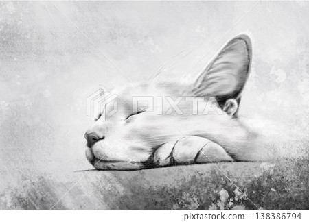 Sleeping Cat in Grayscale Sketch Style Sleeping Cat in Grayscale Sketch Style 138386794