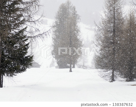 Trekking in the dolomites mountains under a heavy snow in winter Trekking in the dolomites mountains under a heavy snow in winter 138387632