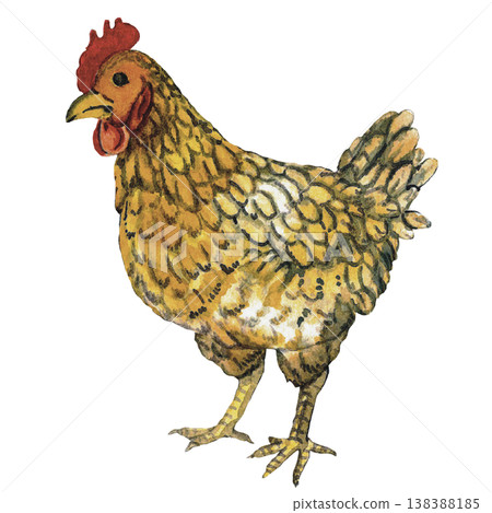 Eco Light Bulb with Leaves and Butterflies Green Energy Concept Eco Light Bulb with Leaves and Butterflies Green Energy Concept 138388185