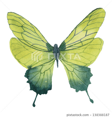 Eco Light Bulb with Leaves and Butterflies Green Energy Concept 138388187