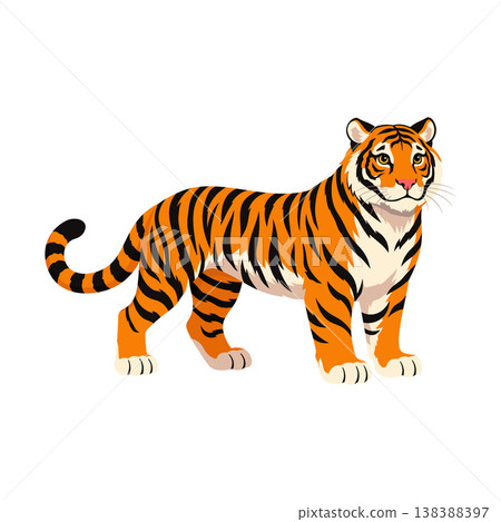 vector tiger illustration on white background. vector tiger illustration on white background. 138388397