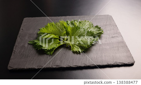 新鮮紫蘇葉(青紫蘇) 新鮮紫蘇葉(青紫蘇) 138388477