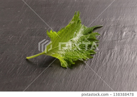 Fresh shiso leaves (green perilla) Fresh shiso leaves (green perilla) 138388478