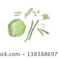A watercolor illustration of green spring vegetables. 138388697