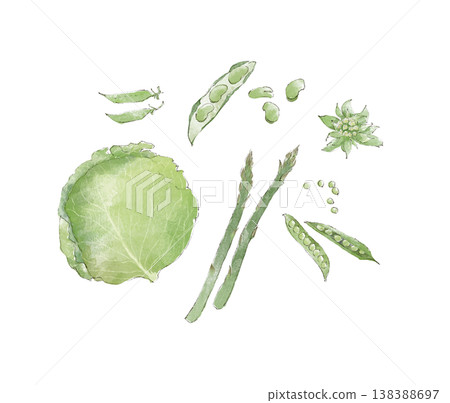 一幅描繪春季綠色蔬菜的水彩插圖。 138388697