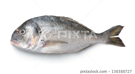 Top view of fresh gilthead sea bream Top view of fresh gilthead sea bream 138388727