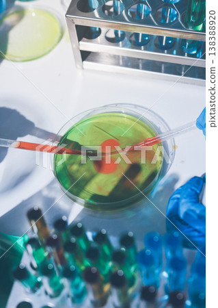 Science, laboratory and woman with pipette, test tube and biotech solution in research. Medical innovation, scientist or lab technician in study for healthcare, medicine and vaccine results feedback. Science, laboratory and woman with pipette, test tube and biotech solution in research. Medical innovation, scientist or lab technician in study for healthcare, medicine and vaccine results feedback. 138388920