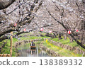 Cherry blossoms in full bloom and a boat crossing the river 138389332