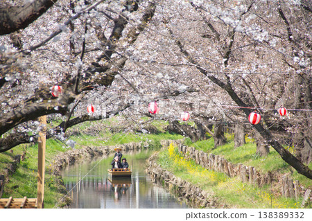 Cherry blossoms in full bloom and a boat crossing the river 138389332