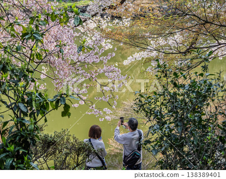 People taking photos of a pond and cherry blossoms with their smartphones in a spring park. 138389401