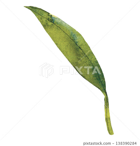 Single Green Leaf Illustration  Nature Element 138390284
