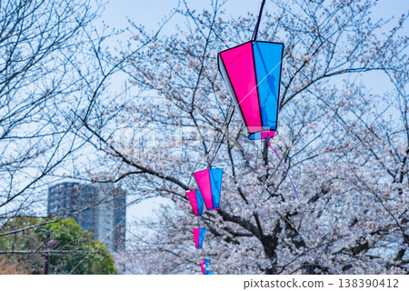 船橋海老川櫻花祭 09_260329 138390412