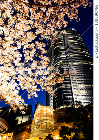 夜櫻 ~東京六本木新城 5~ 夜櫻 ~東京六本木新城 5~ 138390468