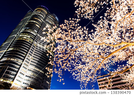 Night Cherry Blossoms ~Tokyo, Roppongi Hills, 7~ Night Cherry Blossoms ~Tokyo, Roppongi Hills, 7~ 138390470