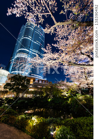 Night Cherry Blossoms ~Tokyo, Roppongi Hills, 18~ Night Cherry Blossoms ~Tokyo, Roppongi Hills, 18~ 138390492