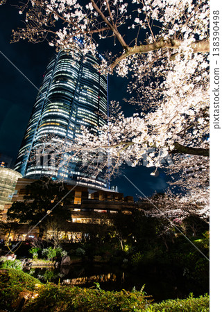 Night Cherry Blossoms ~Tokyo, Roppongi Hills, 24~ Night Cherry Blossoms ~Tokyo, Roppongi Hills, 24~ 138390498