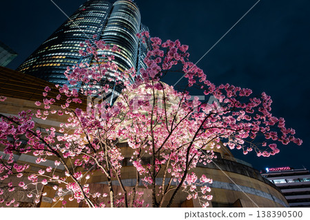 Night Cherry Blossoms ~Tokyo, Roppongi Hills, 26~ Night Cherry Blossoms ~Tokyo, Roppongi Hills, 26~ 138390500