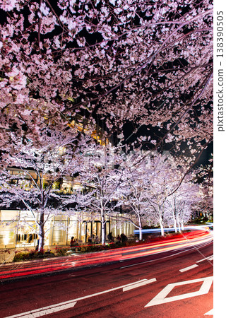 Night Cherry Blossoms ~Tokyo, Tokyo Midtown, Part 4~ 138390505