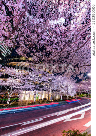 Night Cherry Blossoms ~Tokyo, Tokyo Midtown, 5~ 138390506