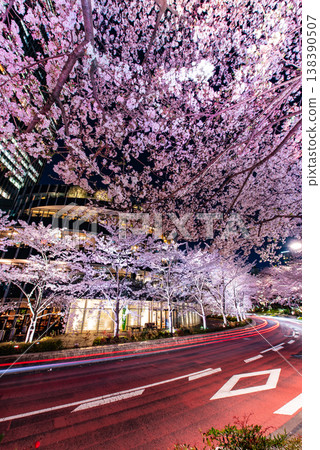 Night Cherry Blossoms ~Tokyo, Tokyo Midtown, 6~ 138390507