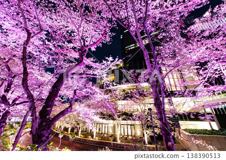 夜櫻 ~東京，東京中城，11~ 138390513